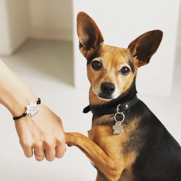 Hund & Herrchen